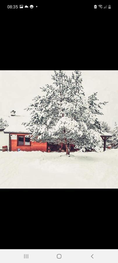 Farmstay Marianowka U Tesi Giby المظهر الخارجي الصورة