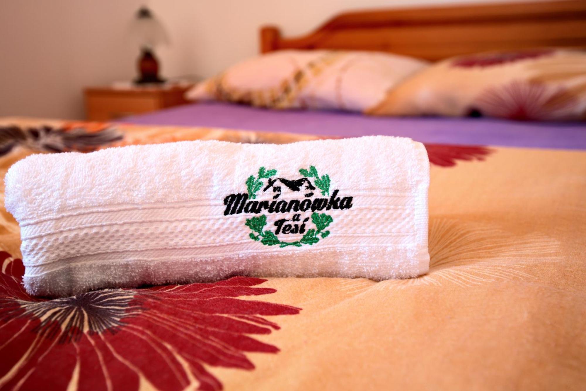 Farmstay Marianowka U Tesi Giby الغرفة الصورة